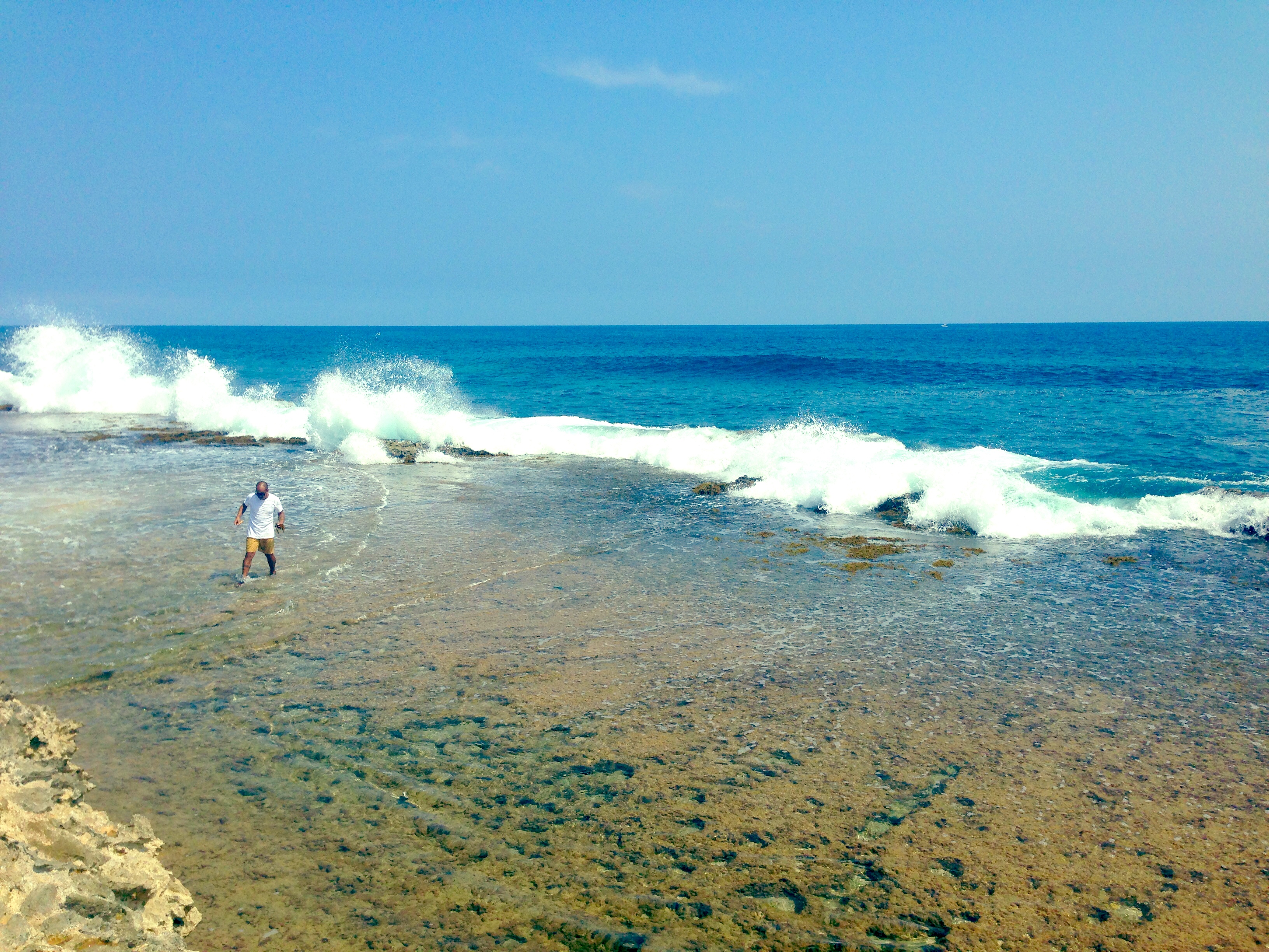 kelly i køkkenhaven 3