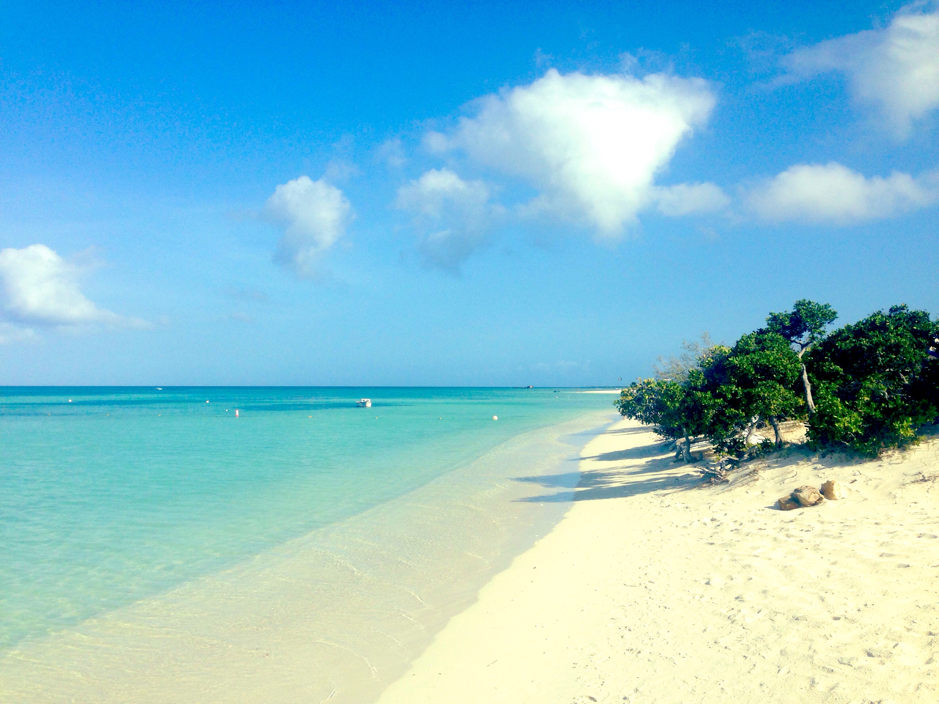 typisk strand på vestsiden 2 - palm beach